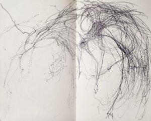 img 20250321 122146n3